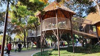 宁波儿童公园什么时候开放_宁波儿童公园还开着吗