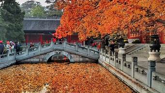 北京香山公园旅游攻略_北京香山公园旅游攻略一日游