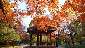 北京地坛公园好玩吗_北京地坛公园好玩吗值得去吗